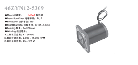  46ZYN12-5309  